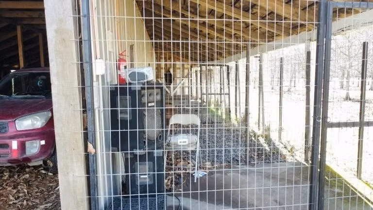 Agrícola en venta en Pemuco - 22,6 Hectáreas