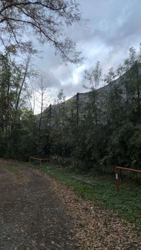 Motel en Funcionamiento Osorno | Alta Rentab. (171135)