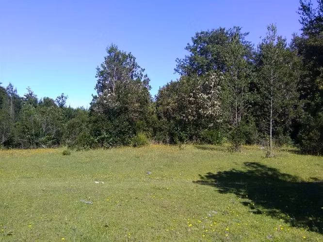 Agrícola En Venta En Lago Ranco - Illa Huapi - 29 Hectáreas