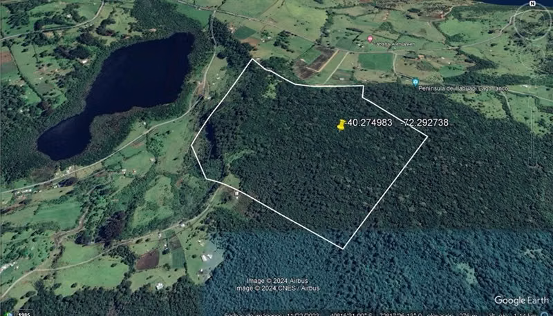 Agrícola En Venta En Lago Ranco - Illa Huapi - 29 Hectáreas