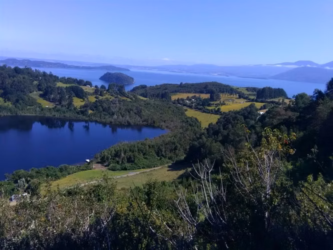Agrícola En Venta En Lago Ranco - Illa Huapi - 29 Hectáreas
