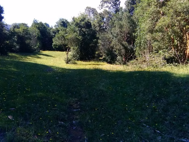 Agrícola En Venta En Lago Ranco - Illa Huapi - 29 Hectáreas