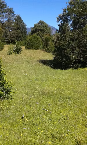 Agrícola En Venta En Lago Ranco - Illa Huapi - 29 Hectáreas