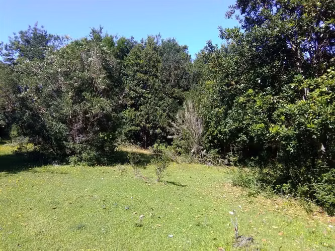 Agrícola En Venta En Lago Ranco - Illa Huapi - 29 Hectáreas