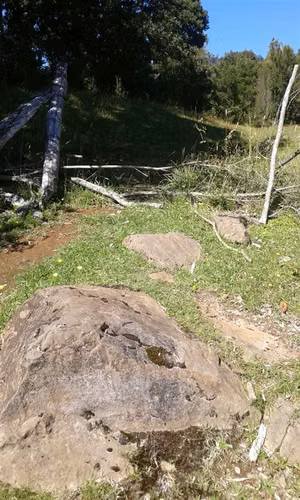 Agrícola En Venta En Lago Ranco - Illa Huapi - 29 Hectáreas
