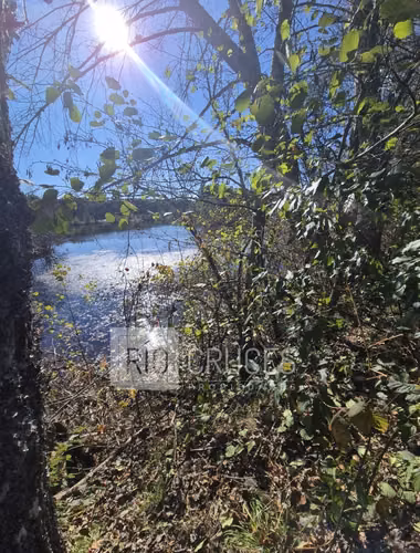 Hermosa parcela en venta con vista a brazo de río, sector Antilhue