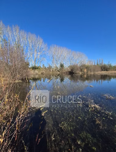 Hermosa parcela en venta con vista a brazo de río, sector Antilhue
