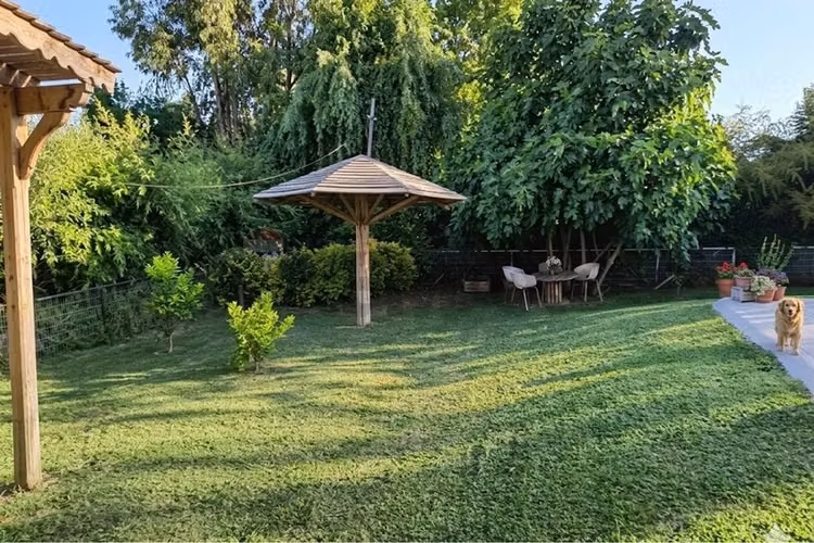 Casa, restaurant y hostal en san vicente de t.t.