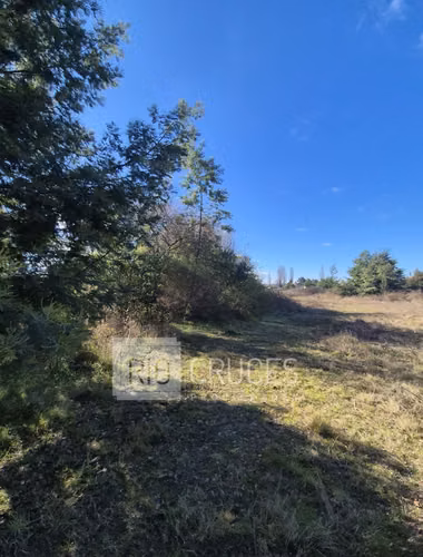 Parcela en venta con frente a brazo de río, sector Antilhue, Valdivia