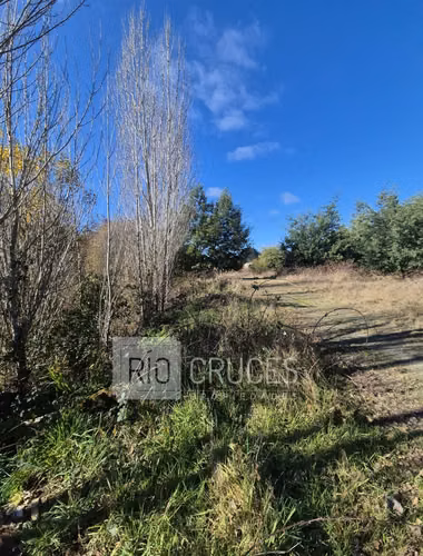 Parcela en venta con frente a brazo de río, sector Antilhue, Valdivia