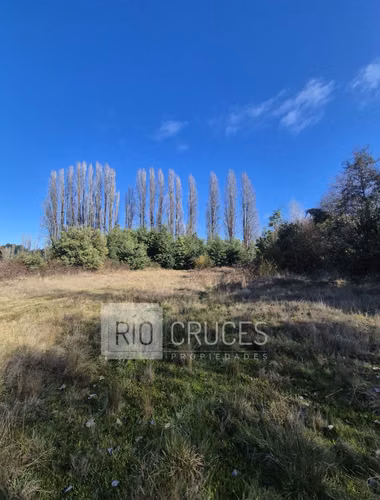 Parcela en venta con frente a brazo de río, sector Antilhue, Valdivia