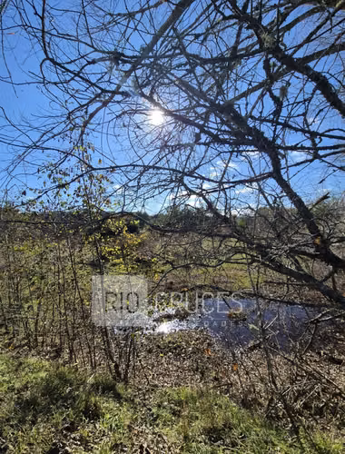 Parcela en venta con frente a brazo de río, sector Antilhue, Valdivia