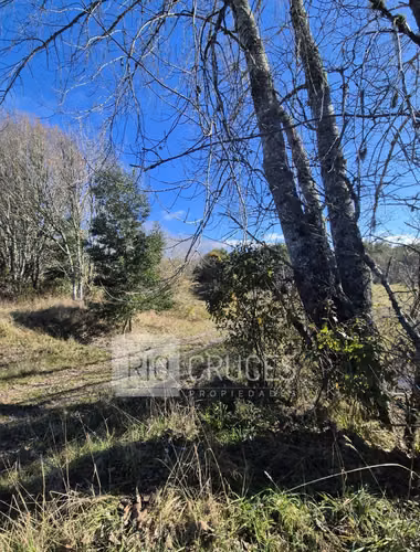 Parcela en venta con frente a brazo de río, sector Antilhue, Valdivia