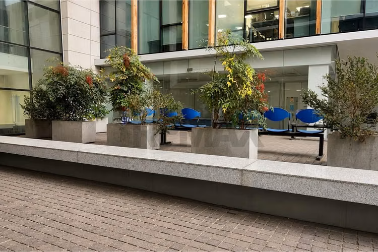 Local comercial | planta libre