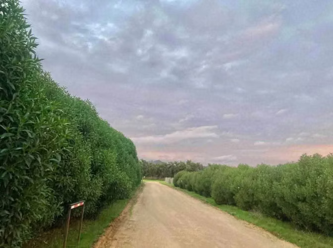 Tu Refugio Natural Cerca de la Ciudad (171203) - Imagen 3