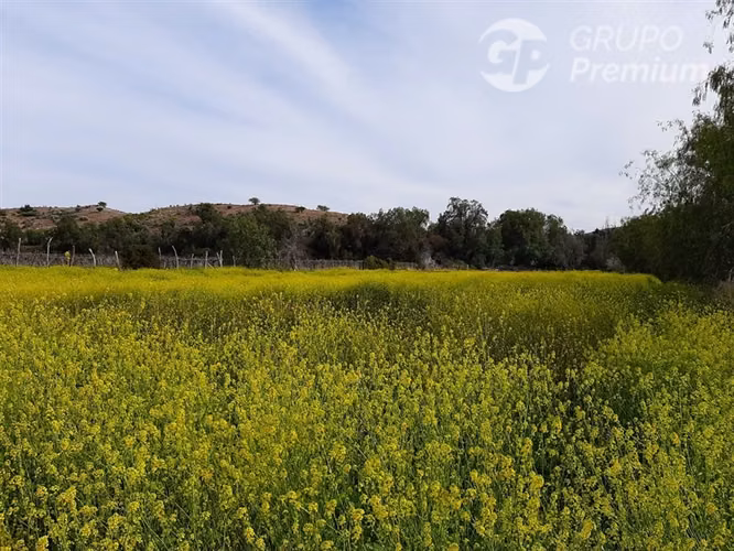 SE VENDE PARCELA AGRICOLA EN COMBARBALÁ. DERECHOS DE AGUA.