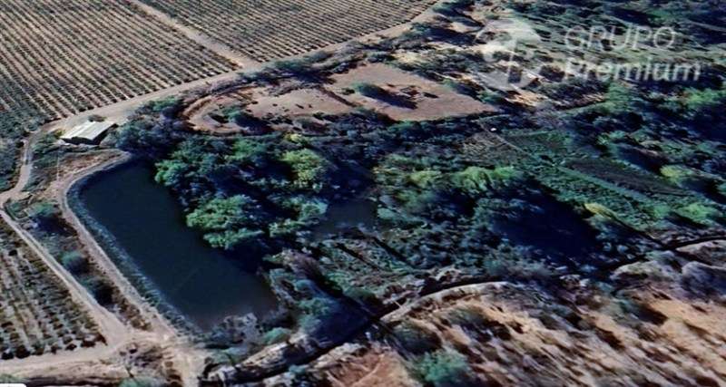 Inversión Agrícola 3.8 Ha con Casa y Derechos de Agua