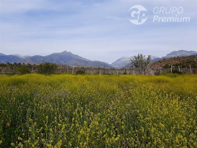 SE VENDE PARCELA AGRICOLA EN COMBARBALÁ. DERECHOS DE AGUA.