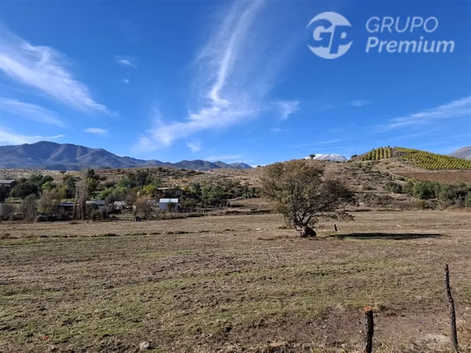 SE VENDE PARCELA AGRICOLA EN COMBARBALÁ. DERECHOS DE AGUA.