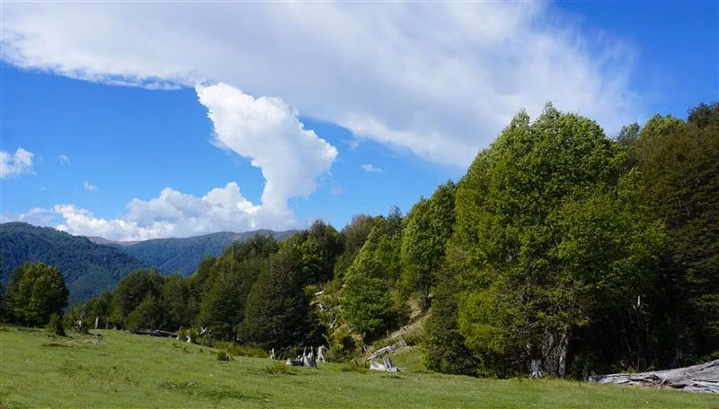 Proyecto centinela - Malalcahuello — Lonquimay