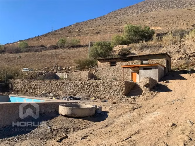 vicuña — Vicuña