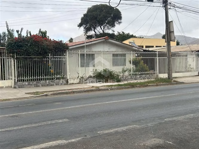 Copayapu con Vicuña — Copiapó