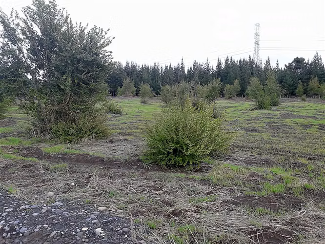 Parcela de 5.000 m con Rol Propio en Los Ángeles. Dueño