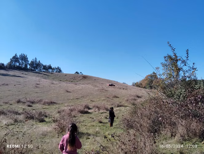 TERRENO DE 6,0 HECTÁREAS, SECTOR LLIUCO, COMUNA NUEVA IMPERIAL.