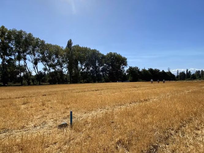Parcela de Media hectárea, camino a Panimávida