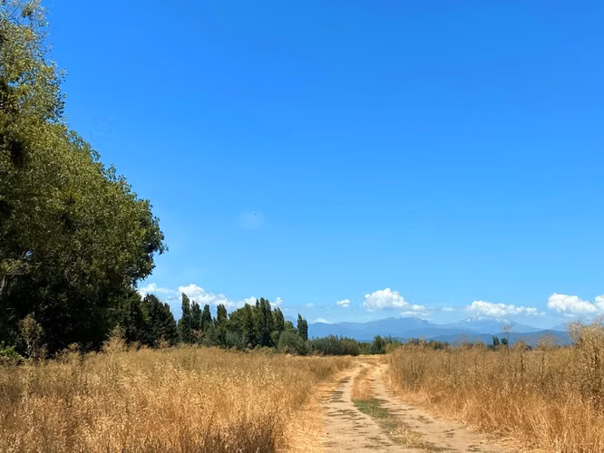 Parcela de Media hectárea, camino a Panimávida