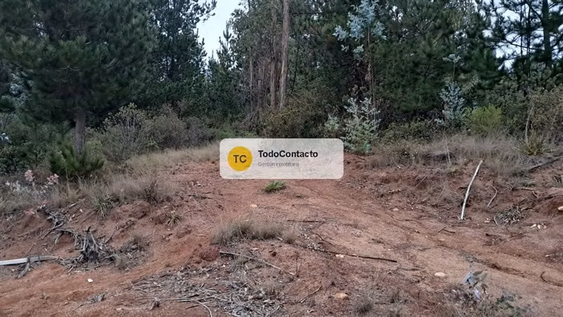 PARCELA tumán - Imagen 10