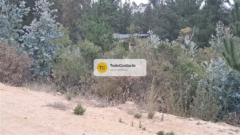 PARCELA tumán - Imagen 14