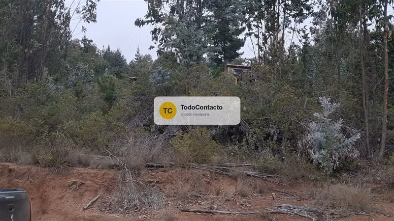 PARCELA tumán - Imagen 17