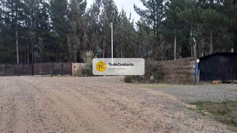 PARCELA tumán - Imagen 5