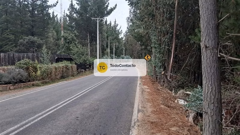 PARCELA tumán - Imagen 8