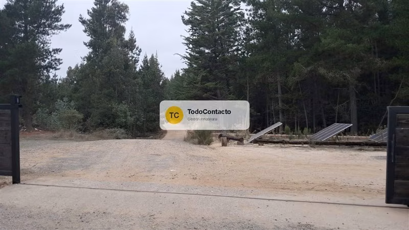 PARCELA tumán - Imagen 6