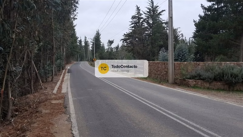 PARCELA tumán - Imagen 7