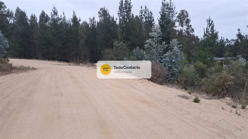 PARCELA tumán - Imagen 15