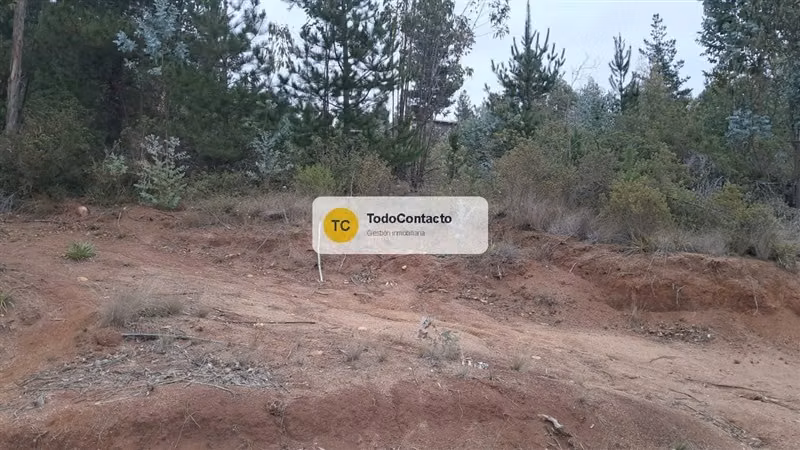 PARCELA tumán - Imagen 16
