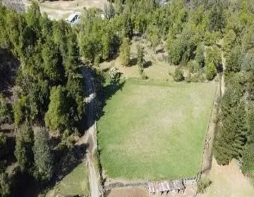 AGRICOLA Predio ubicado a 38 km hacia la cordillera de Yungay, comuna de Yungay