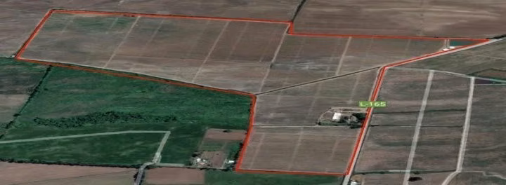 AGRICOLA sector El Durazno, Estación Villa Alegre, comuna de Villa Alegre - Imagen 8