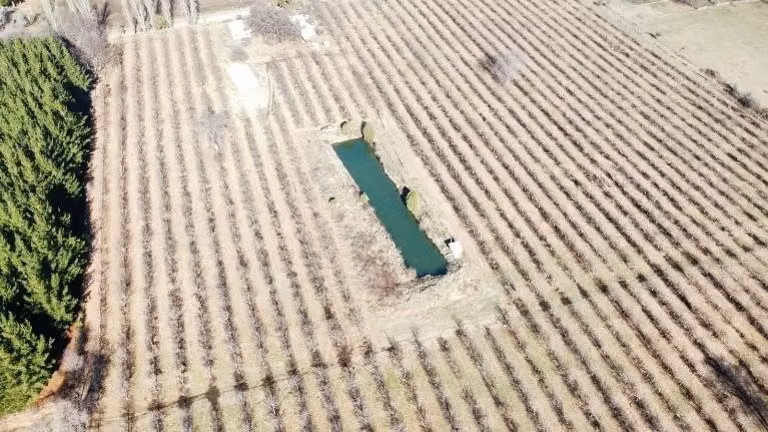 AGRICOLA Camino Cartago, comuna de Pemuco - Imagen 7