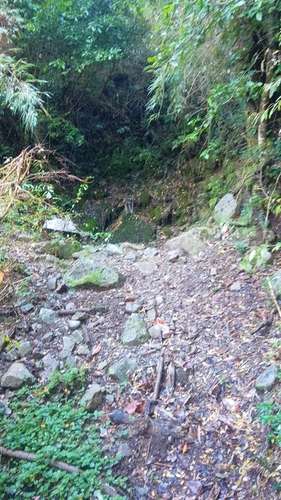 SITIO Huife Alto - Imagen 5