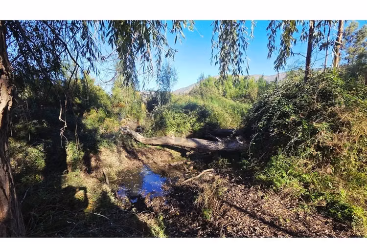 Vendo terreno de 8 hectareas en isla de maipo - Imagen 6