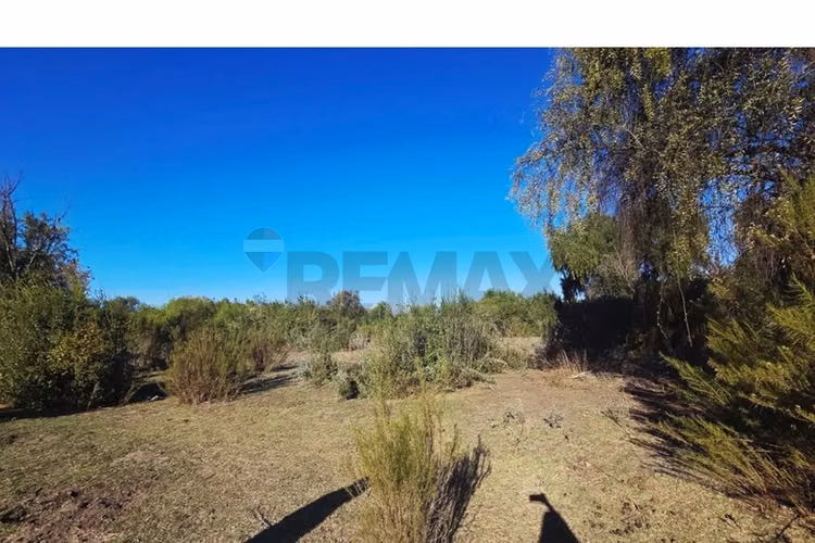 Vendo terreno de 8 hectareas en isla de maipo - Imagen 11