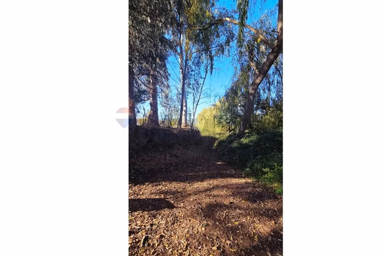 Vendo terreno de 8 hectareas en isla de maipo - Imagen 5