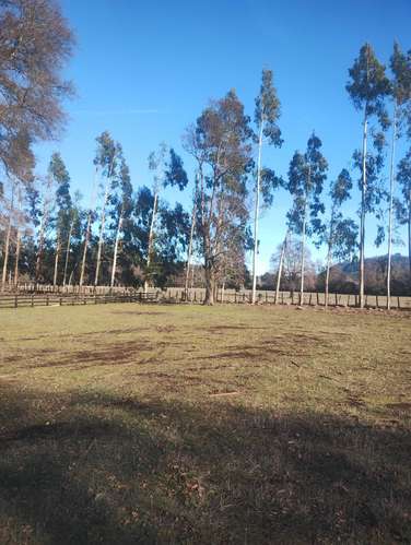 VENTA DE PARCELAS, QUILACO, REGION DEL BIO BI (171397)