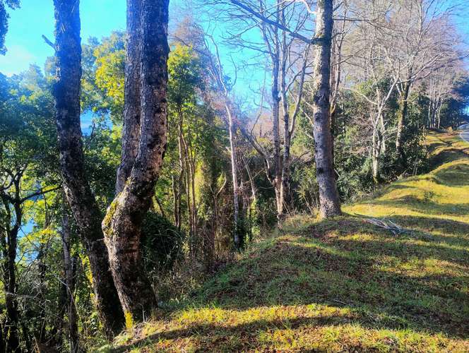 VENTA DE PARCELAS, QUILACO, REGION DEL BIO BI (171397)