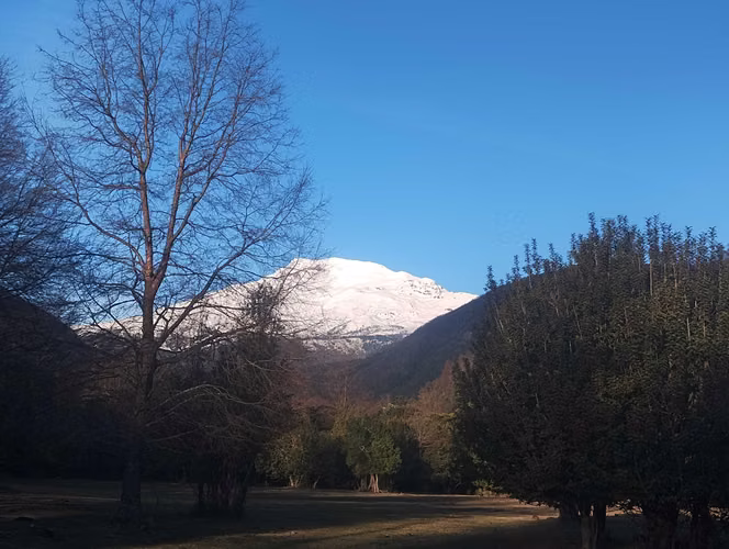 VENTA DE PARCELAS, QUILACO, REGION DEL BIO BI (171397)