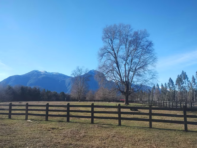 VENTA DE PARCELAS, QUILACO, REGION DEL BIO BI (171397)